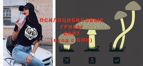 хмурый Арсеньев