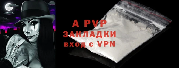 хмурый Арсеньев