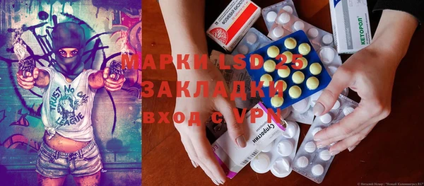 хмурый Арсеньев