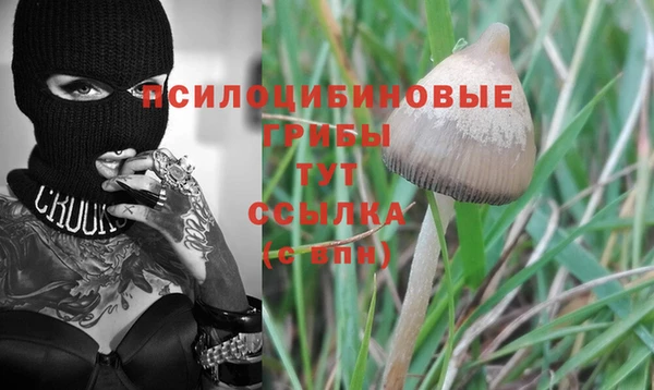 метадон Инта