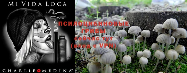 мяу мяу мука Балахна
