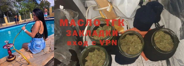 хмурый Арсеньев