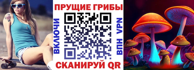 kraken ТОР  Мончегорск  Псилоцибиновые грибы ЛСД  купить  цена 
